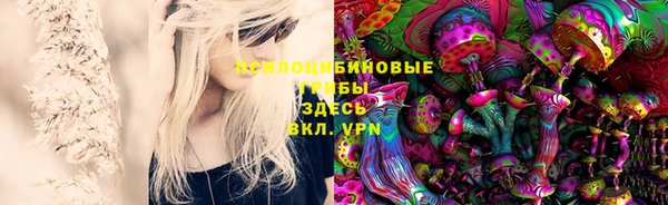 мескалин Горняк